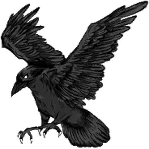 Hex Livia's Logo: a black raven